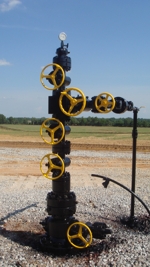 Falcon Wellhead