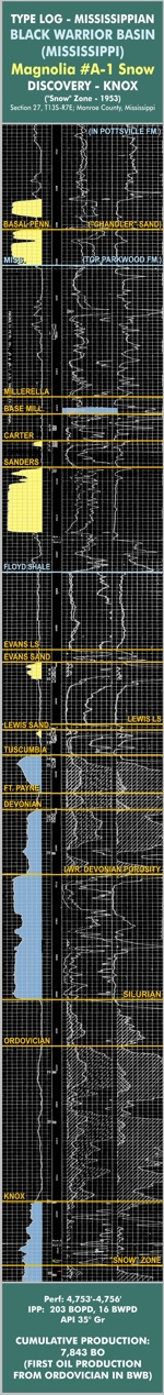 Lower Paleozoic Type Log